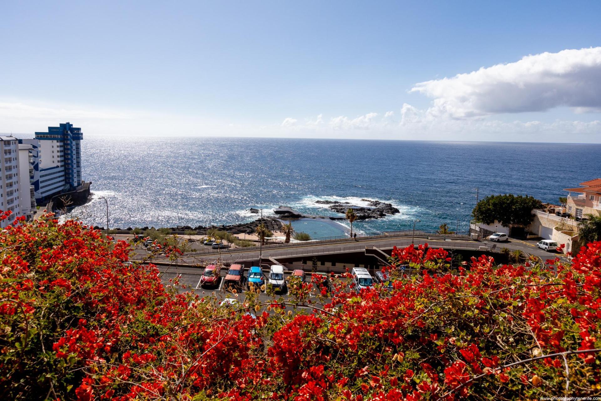 Casa alquiler vacacional canarias, frente al mar azul oscuro, con flores rojas y autos estacionados frente al mar.