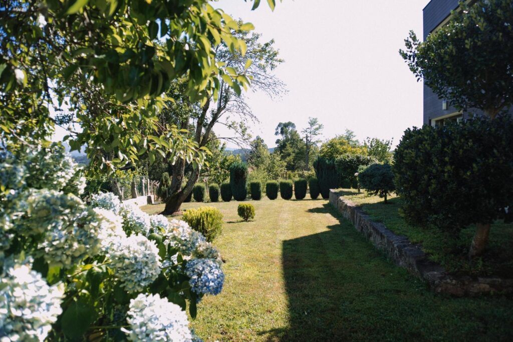 Paisaje de grama verde, arboles altos y flores redondas y frondosas. Un patio de una casa vacacional grande, áreas verdes increíbles y una vista amplia al azul del cielo.